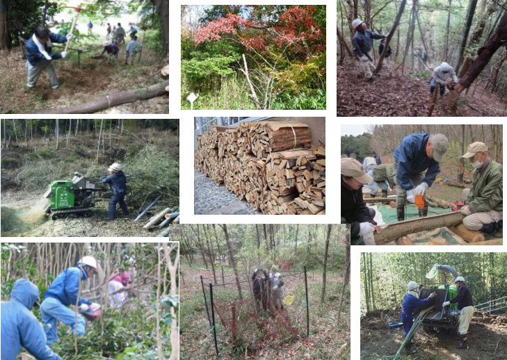 ゴルフ場と連携し地域に根差した「花卉農業」